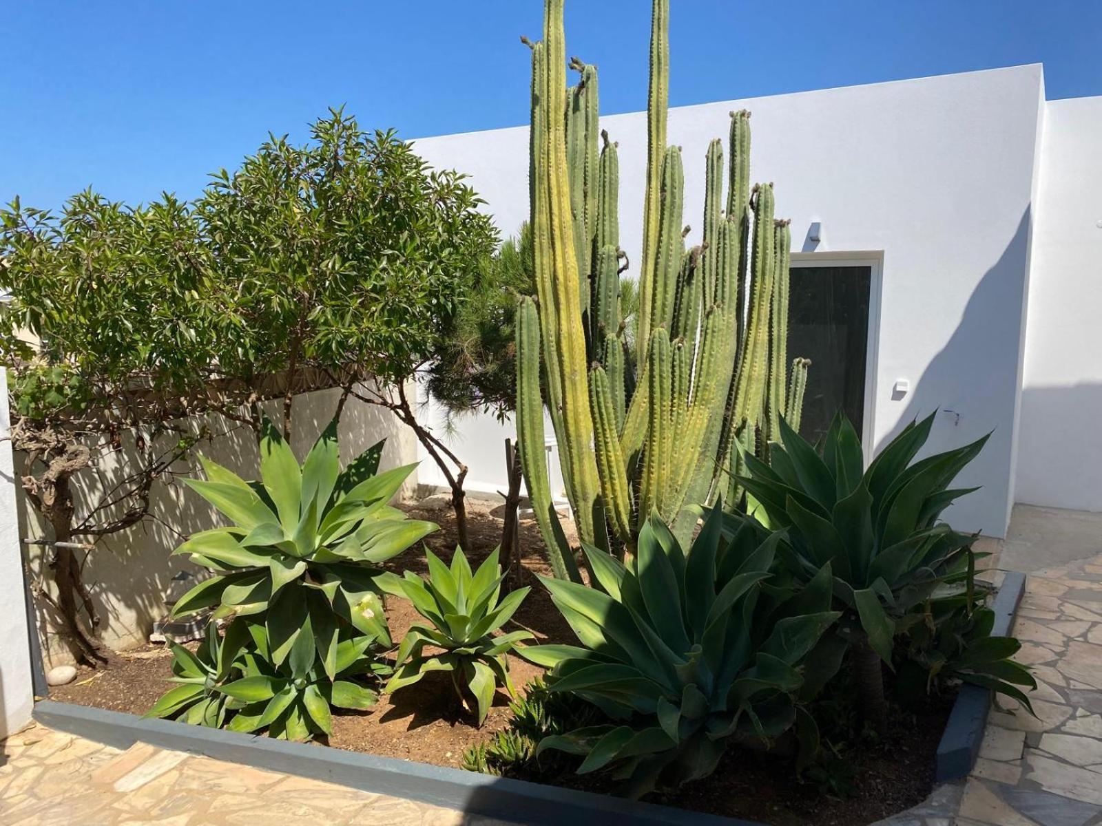 Casa La Isla Apartment Sagres Bagian luar foto